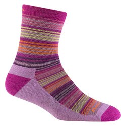 Darn Tough Zebra Canyon Micro Crew Sock Kids' in Clover